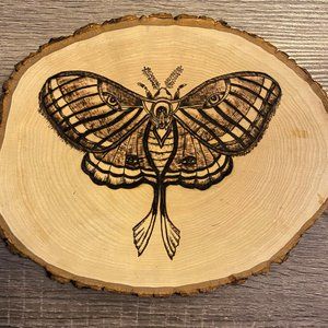Hand-drawn Wood-Burned Lunar Moth Wall Decor